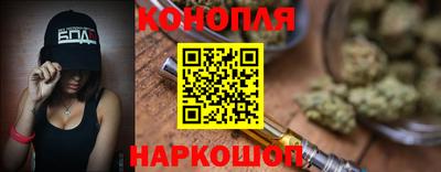 сатива Кандалакша