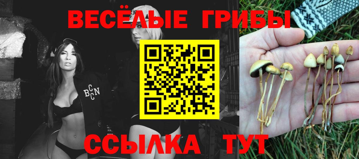 Калач-на-Дону  Галлюциногенные грибы MAGIC MUSHROOMS  где найти наркотики  Псилоцибиновые грибы мицелий  Вход с VPN 